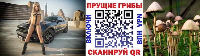 где купить наркотик  Осинники  Галлюциногенные грибы мухоморы 
